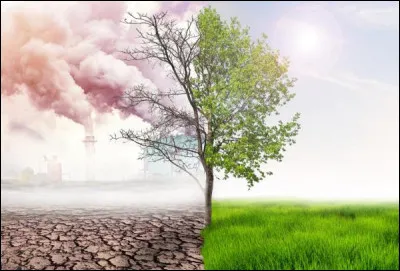 À Genève, en quelle année la première conférence mondiale sur le climat a-t-elle eu lieu ?