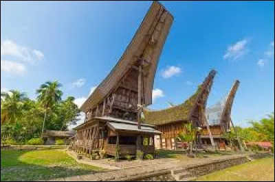 L'Indonésie est le plus grand producteur mondial de noix de coco.