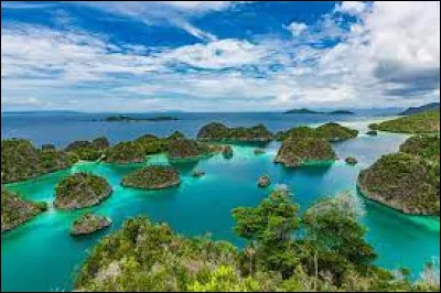 Bali est une île de l'Indonésie qui est principalement hindoue.