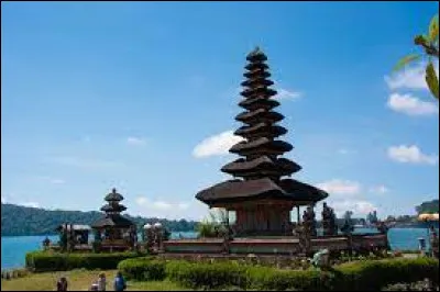 L'orang-outan est endémique de l'Indonésie.