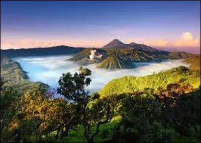 L'archipel de Raja Ampat en Indonésie est l'une des zones de biodiversité marine les plus riches au monde.