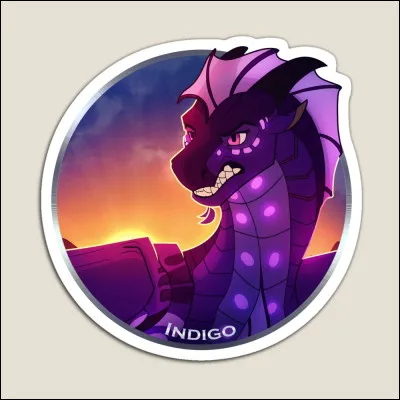 Quel est le nom d'Indigo en anglais ?