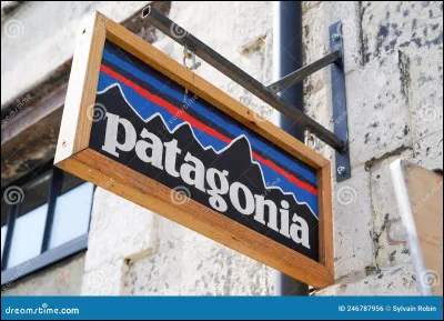 Pour quels sports la marque Patagonia est-elle spécialisée ?