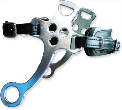 Le hackamore est-il autorisé en sauts ?