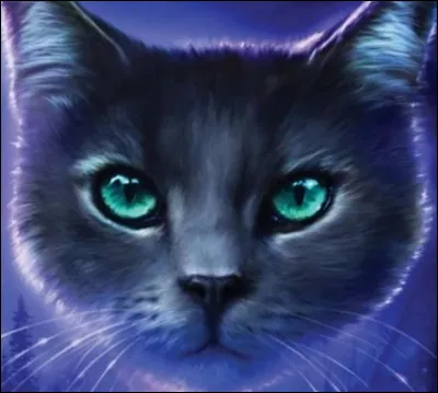 Quel est son nom de chaton ?