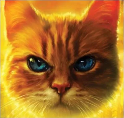 Qui est amoureux delle ?