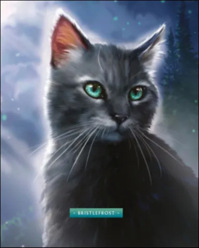 Où va-t-elle aller à sa mort ?