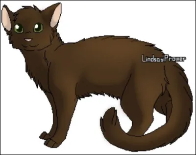 Qui est son mentor ?