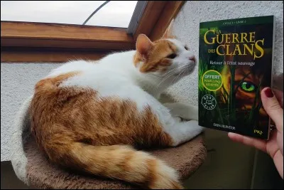 Dans quel cycle est-elle née ?