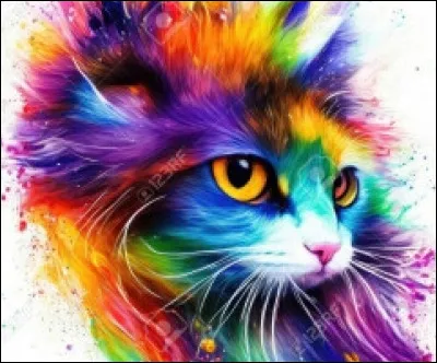 Quelle couleur es-tu ? (1)