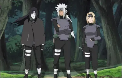 Pour toi le plus intéressant chez un ninja, c'est...