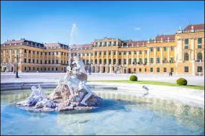 Quel fleuve traverse Vienne ?