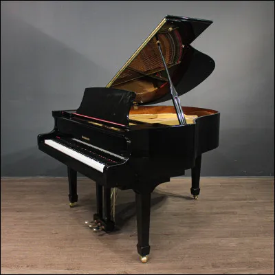 Tu étais très adepte au piano.