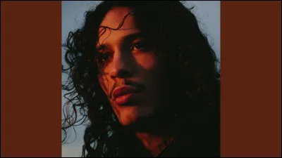 Qui est ce chanteur ?