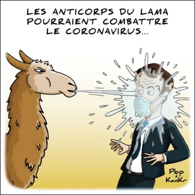 Coup de poing porté latéralement !