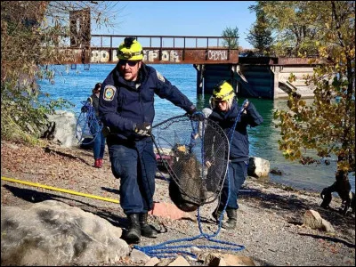 Petit passereau africain !