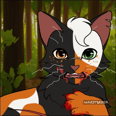 À quoi ressemble Pomme de Pin ?