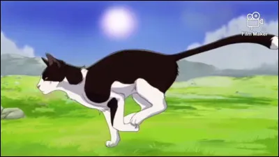 Quel est le nom de guerrier d'Étoile Filante ?