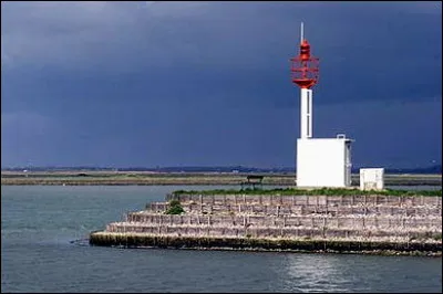 Il éclaire les phoques, il s'agit du...