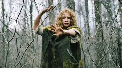 "Le Village" est un long-métrage réalisé par Christopher Nolan.