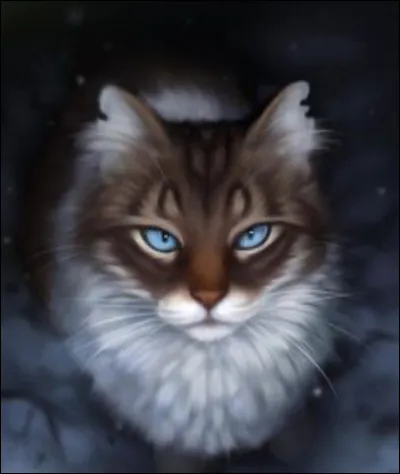 Qui est amoureux dune chatte qui est amoureuse de son frère ?