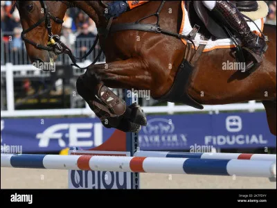 Voici la quatrième image, ce sont des...