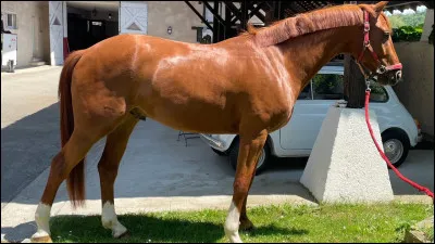 Quelle robe pr&eacute;f&egrave;res-tu ?