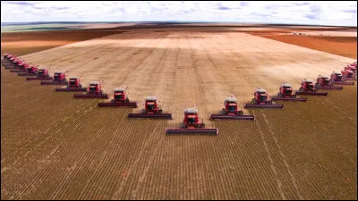 Quelles conséquences a lagriculture intensive ?