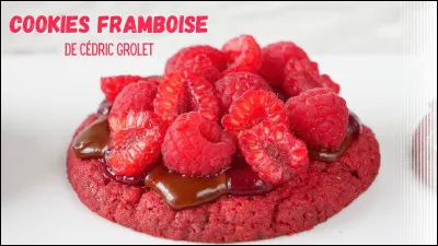 À quelle famille alimentaire appartient la framboise ?
