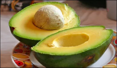 Comment s'appelle l'arbre sur lequel poussent les avocats ?