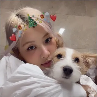 Comment s'appelle son chien ?