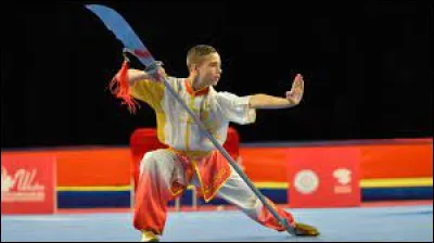 Ce mot désigne collectivement tous les arts martiaux chinois sans distinction particulière de style ou de forme.