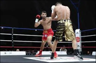 Quelle est cette catégorie de poids en sports de combat ?