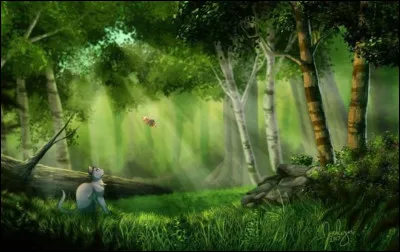 Tu peux enfin sortir du camp... Que fais-tu en premier ?