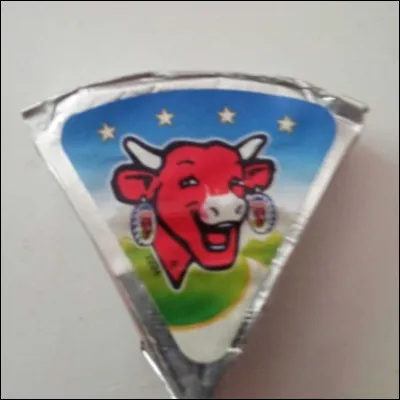 Quel est ce fromage ?