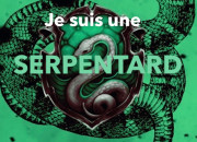 Test Es-tu un(e) vrai(e) Serpentard ?