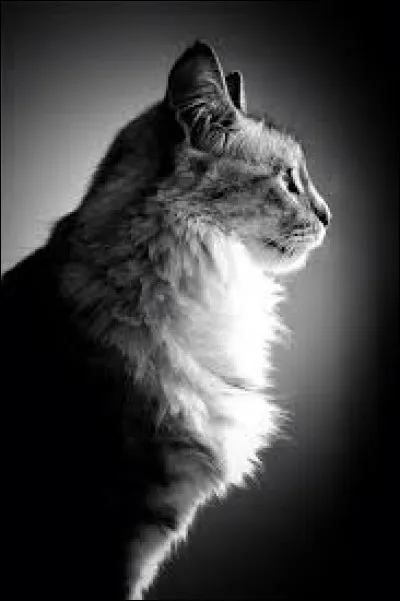 Sélectionne une couleur qui te plaît parmi celle proposées.