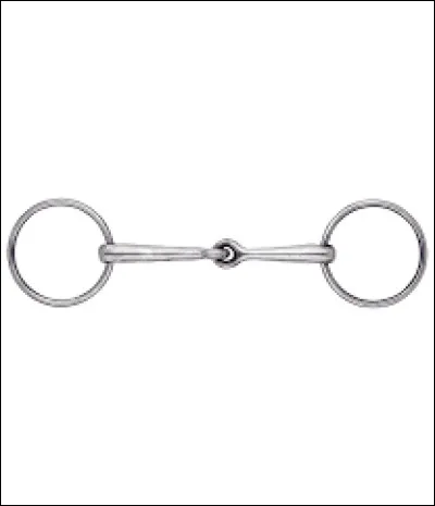 Quel est cet objet ?