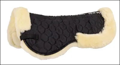 Quel est cet objet ?