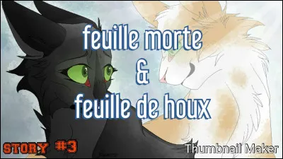 Bonus 3 : Dans le script original Feuille de Houx est-elle aveugle ?