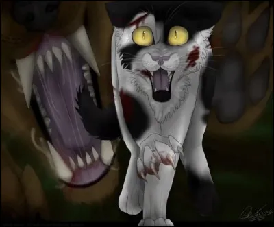 Nuage Agile est mort tué par des chiens qui répétaient en boucle : « Meute, meute, tuer, tuer ! ».