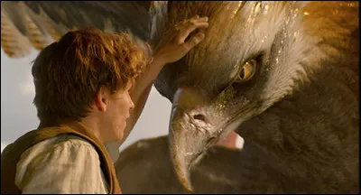 Adjectif qui concerne les oiseaux !