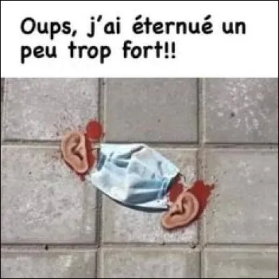 Membrane enveloppant le foétus chez les mammifères, les oiseaux et les reptiles !