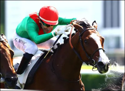 Combien y a-t-il de familles de robes ?