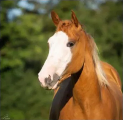 Quelle est la liste sur la photo ci-dessus ?