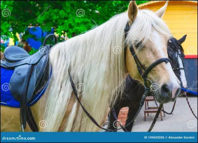 Lequel de ces éléments ne fait pas partie du sabot ?