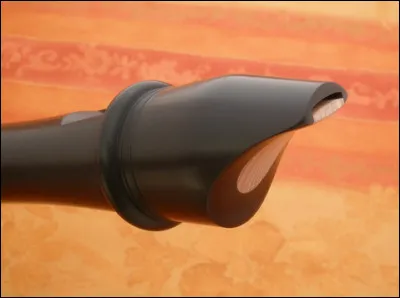 Combien de trous comportent habituellement une flûte à bec ?