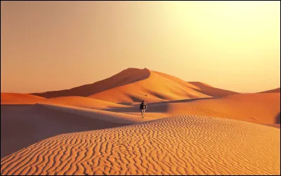 On te propose des vacances, où préfères-tu aller ?