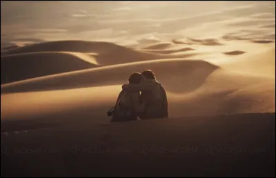 Quel est ton style d'homme/de femme ?