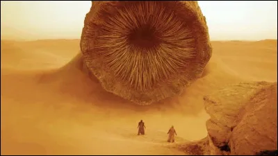 On t'annonce que tu vas devoir affronter un ver du désert, quelle est ta réaction ?